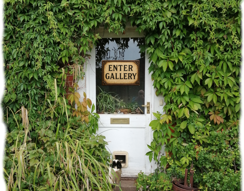 Enter Gallery